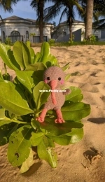 Kiwi bird