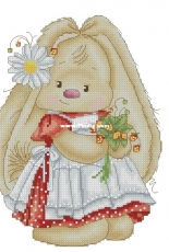 Strawberry by Jane Eyre