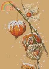 Golden Hands NP-001 Cape Gooseberry by Natalia Pashkova.