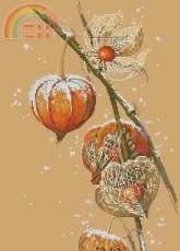 Golden Hands NP-001 Cape Gooseberry by Natalia Pashkova.