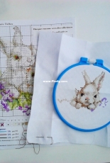 Rabbit