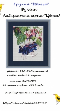 Fuchsia by Ivolga