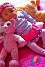 pink bear
