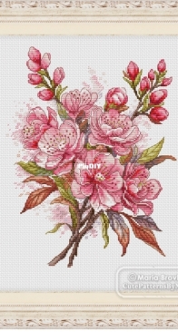 Sakura Blossom by Maria Brovko