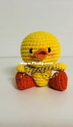 duck