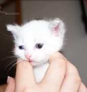 he is too cute