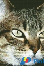Artecy Cross Stitch - Tabby Cat