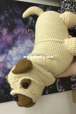 Nata33 -pug dog
