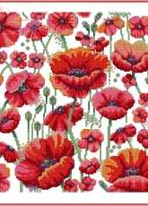 Poppies Cushion by Carol Thornton from Cross Stitch Gold 122 XSD