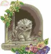 RTO M091 The Kitten