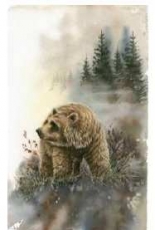 HAED HAEDAB1947 Grizz by Dave Bartholet