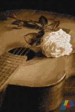 Rose on Guitar by Stepanova Love/Slovew XSD
