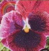 Thea Gouverneur TG 455 - Pansy