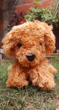 realistic dog