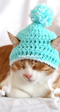Pawsome Crochet - Rebecca Davis - Beanie Hat for Cats