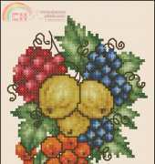 Mixed Berries by Pamela Kelogg