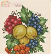 Mixed Berries by Pamela Kelogg