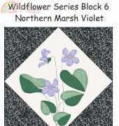 Mary Graham-Wildflower Series Block 6-Norther Marsh Violet
