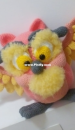 owl