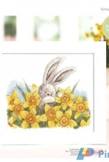 Spring Bebunni from The World of Cross Stitching TWOCS 241 XSD