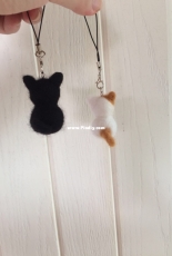 a pair of cats