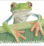 Le idee di Susanna - Small frog