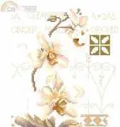Lanarte 34746 - PN-0008008  Two orchids PCS