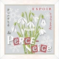 Lilipoints -  Perce-Neige