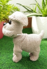 Dog #2
