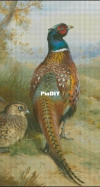 Golden Kite 2547 - Pheasants at the Edge of a Wood PCS