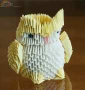 owl