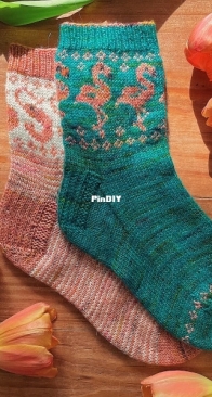 Why are Flamingos Pink?  sock set - Stone Knits