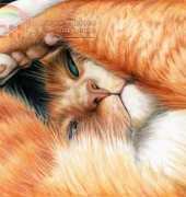 HAED HAEKRM 198 Peek A Boo by Kirstin Mills