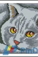 Collection Dart CX0724 Cat cushion