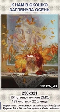 191125 IZ Autumn looked in our window