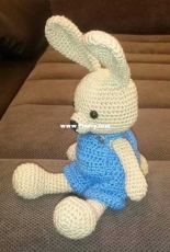 Bunny