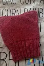 Kittens Beanie for Obamacare by Mizpah Thomas-Free