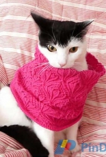 Calystegia Cowl by Lankakomero