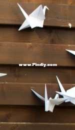 White Origami Cranes