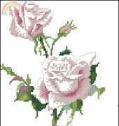 Green Apple FS592 Roses II