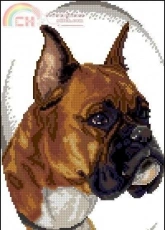 Zolotoe Runo NL-005 - Boxer