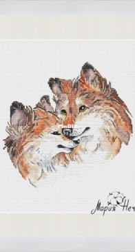 Foxes by Maria Nechaeva