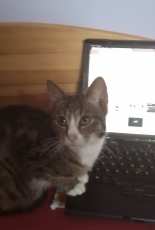 This is my computer
