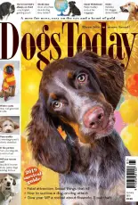 Dogs Today UK - January 2019