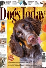 Dogs Today UK - January 2019