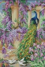 Anchor Maia 5678000-01027 The Peacock PCS 11