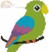 Small green parrot