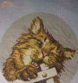 Funny cat (Authors scheme not mine)