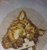 Funny cat (Authors scheme not mine)