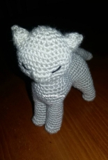 Little kitty